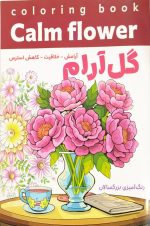 دفتر رنگ آمیزی بزرگسالان - Image 5